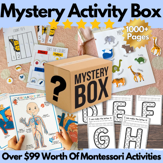 Mystery Activity Box